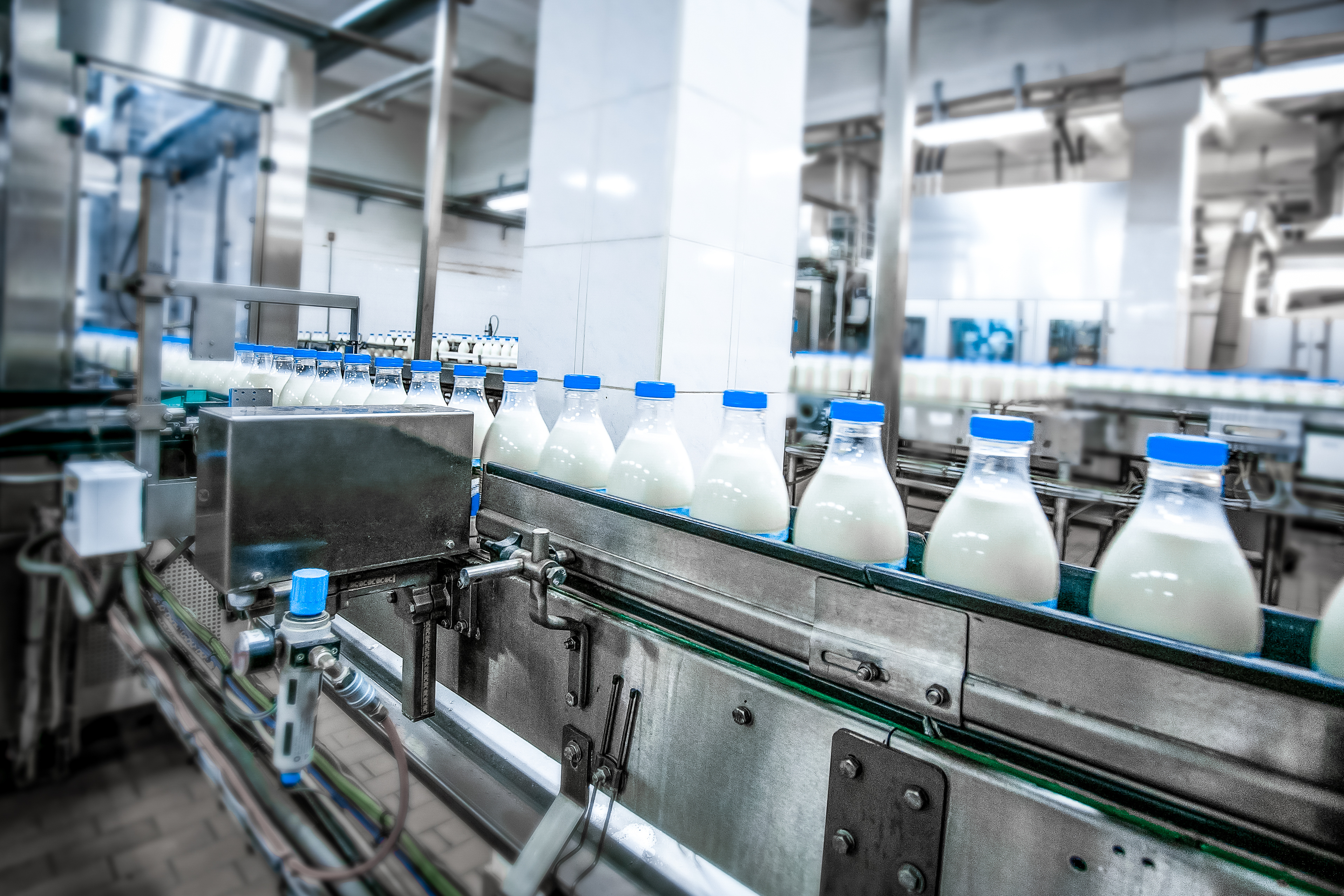 Complete automated line designed for dairy company